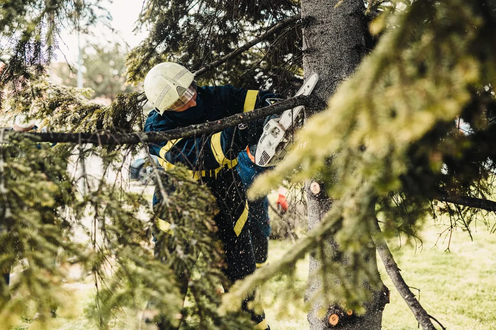 A firefighter uses a chainsaw to cut a tree stump while a truck assists in an outdoor setting.