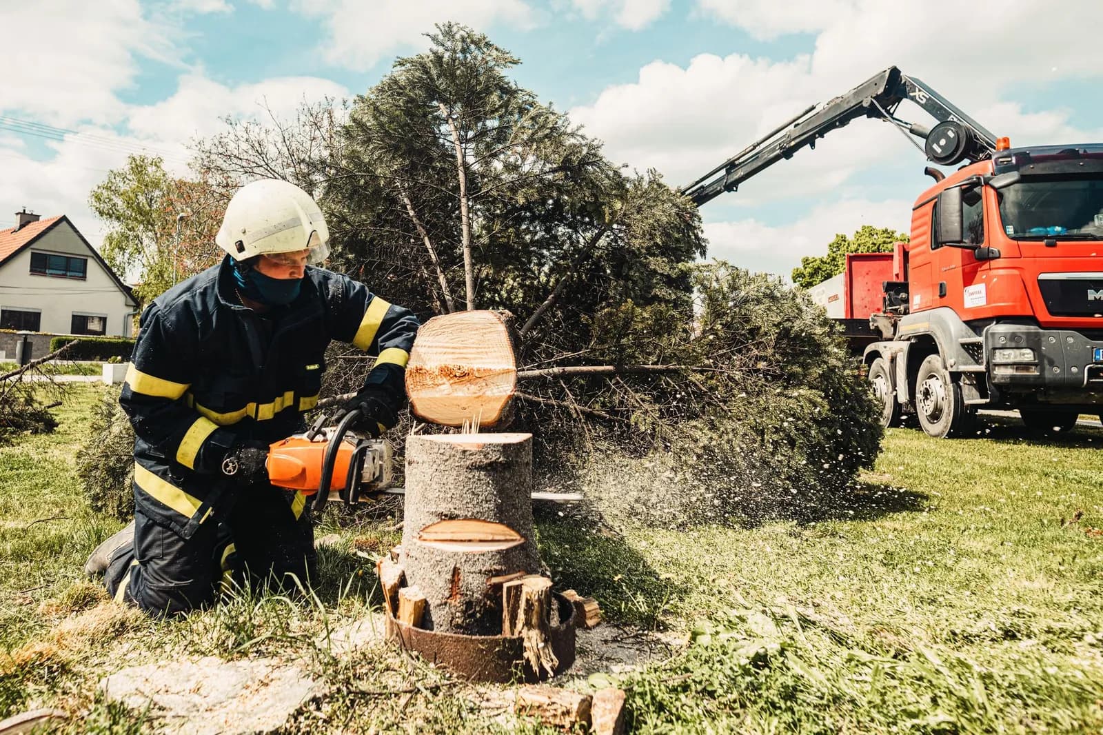 A skilled woman arborist cuts a large tree with a chainsaw outdoors, showcasing expertise in tree care.