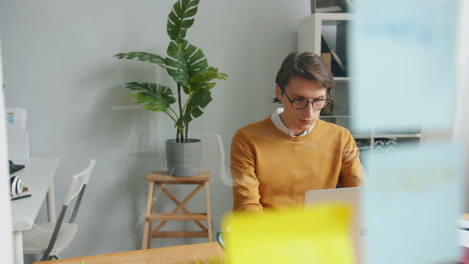 A focused young adult man working on a laptop in a contemporary office with plants.