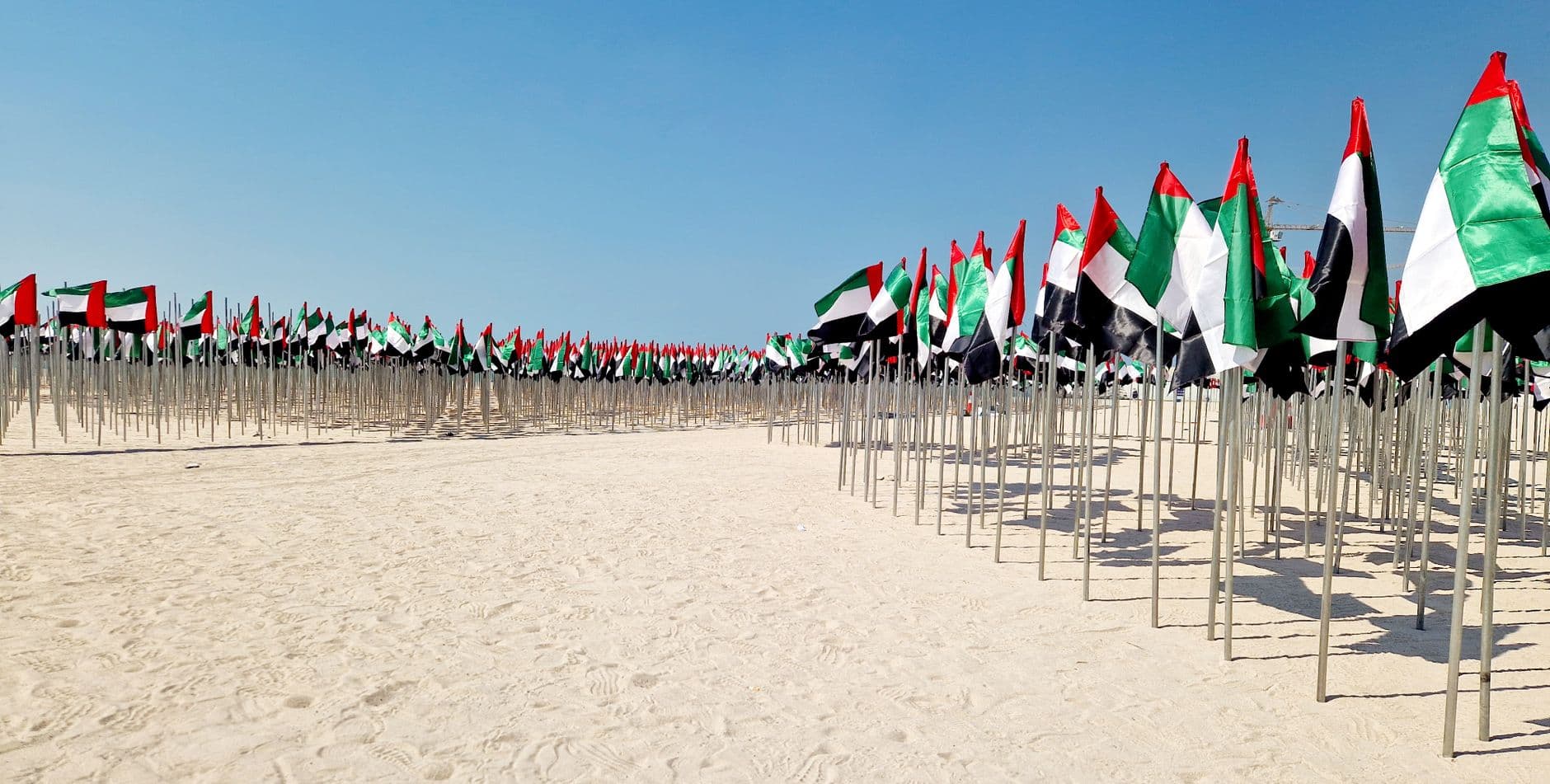 A stunning array of UAE flags positioned on a sunny desert beach, embodying national pride.