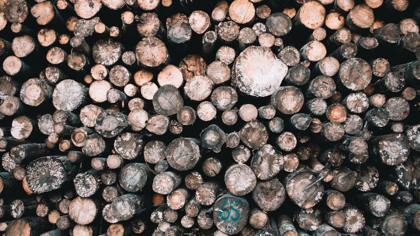High angle view of stacked firewood logs ready for use, showcasing natural textures.