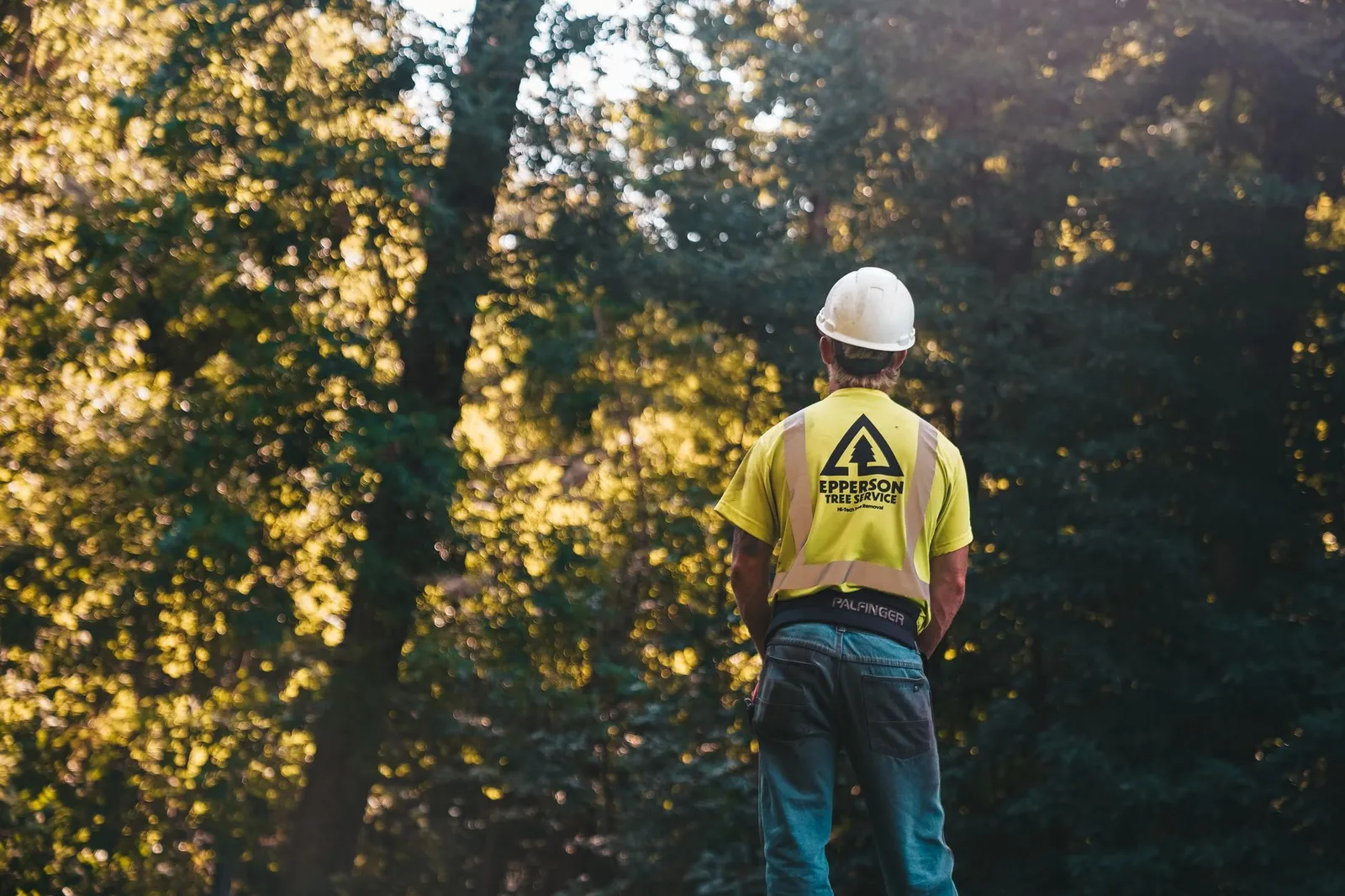 Tree service customer retention: an arborist talking with a homeowner in the yard