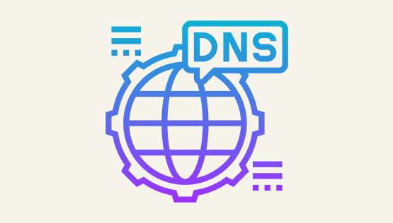 website development by updating DNS records